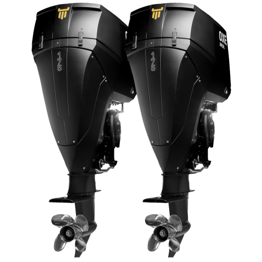 Комплект (спарка) OXE Diesel 175x2 с системой управления